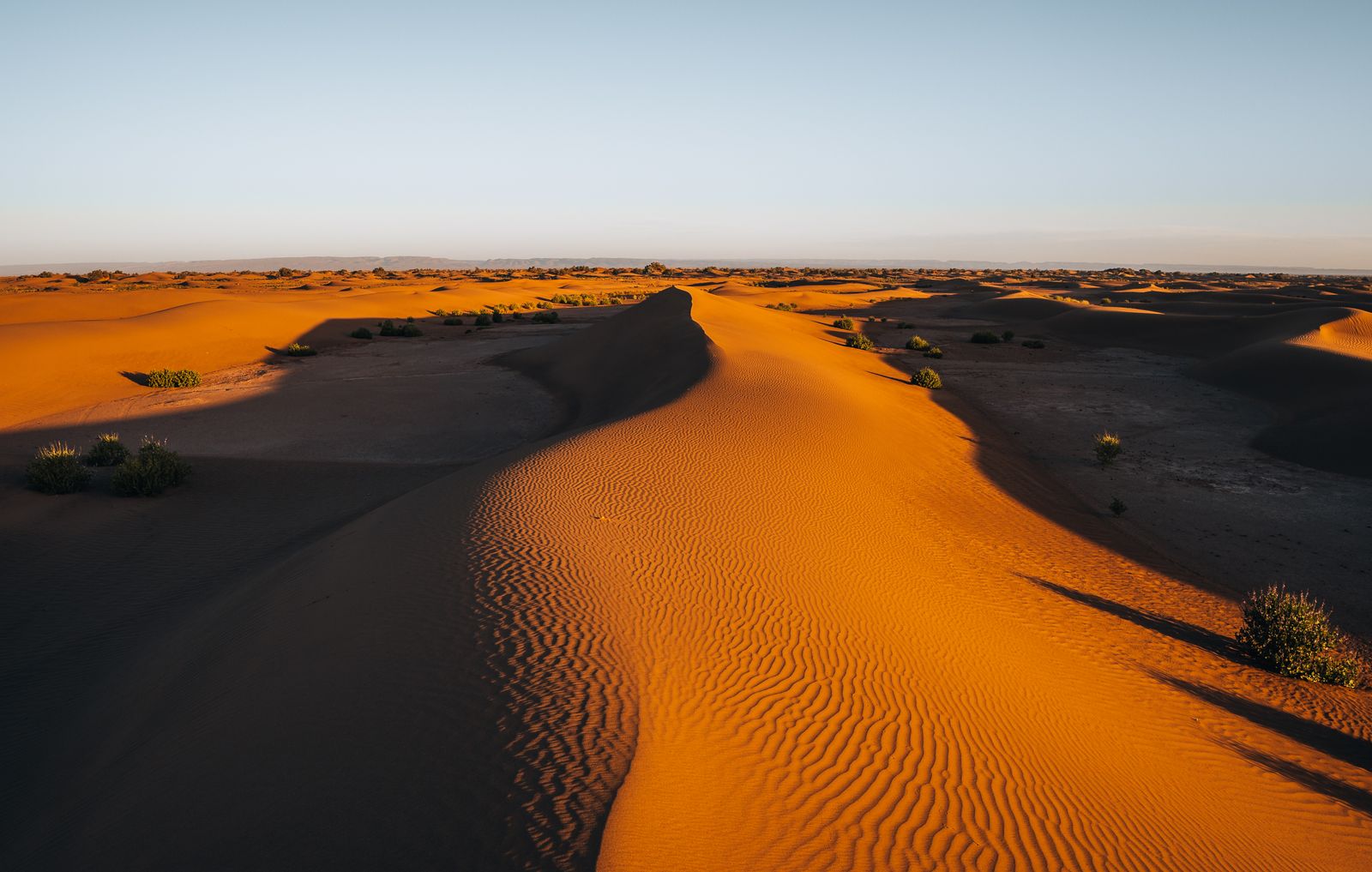 Long shadows across Saharan dunes at dusk.