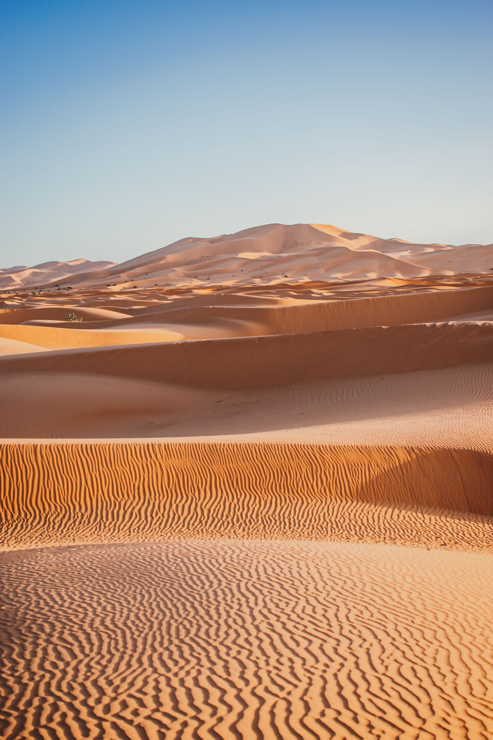 Sand dunes of the Merzouga Desert under a clear sky.